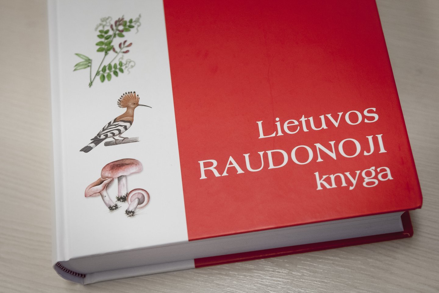 Pasimėgink save teste apie raudonosios knygos paskirtį!